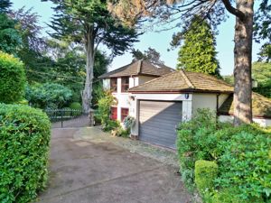 Photo 40- click for photo gallery